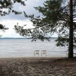 a chair and a tree on a beach